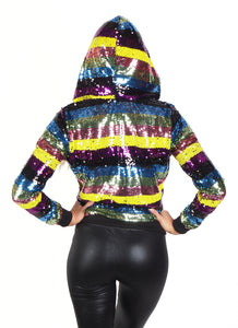 Multicolor Stripes Sequin Hoodie